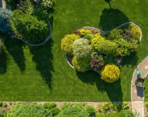 Tree, Shrub & Plant Services 2